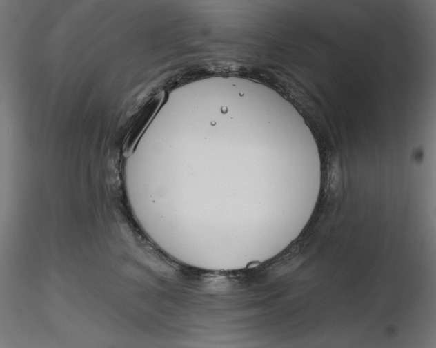 X0000116650616200912291617