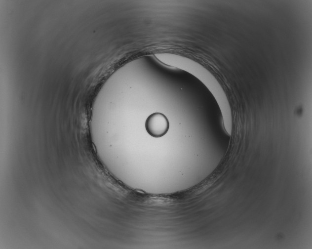 X0000116650617200912291617