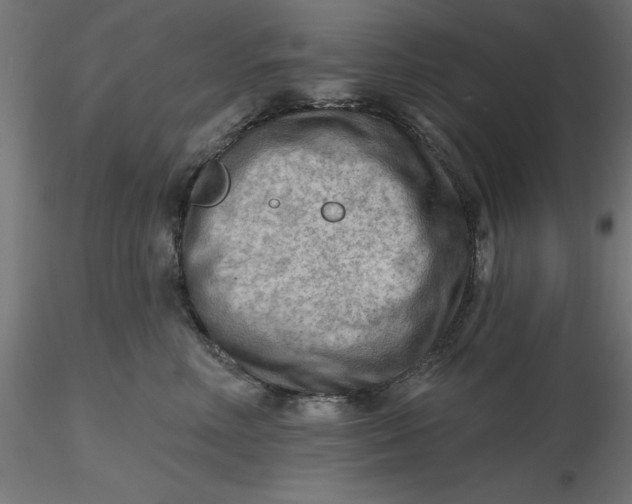 X0000116650618200912291617