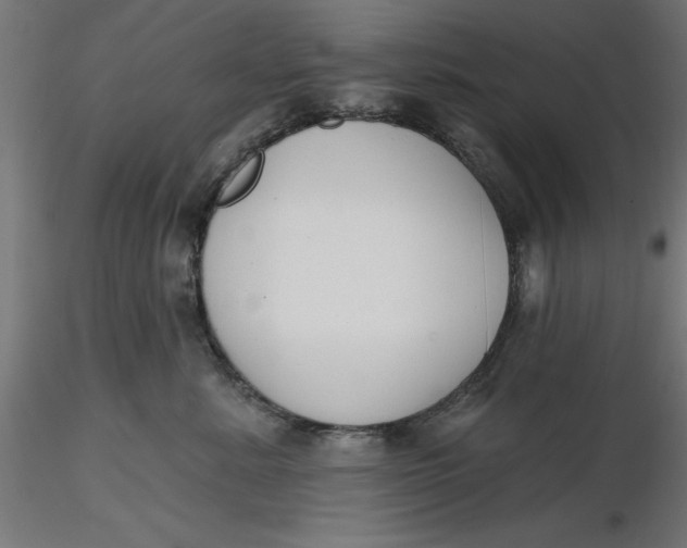 X0000116650619200912291617