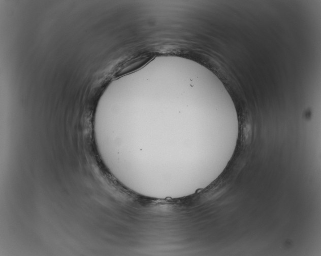 X0000116650620200912291617