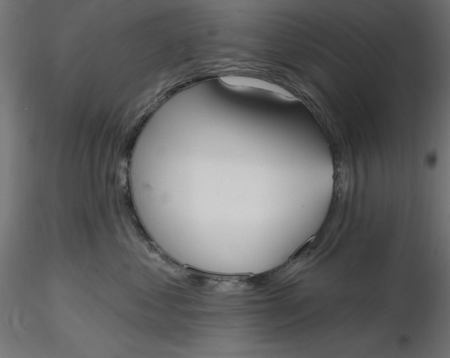 X0000116650621200912291617