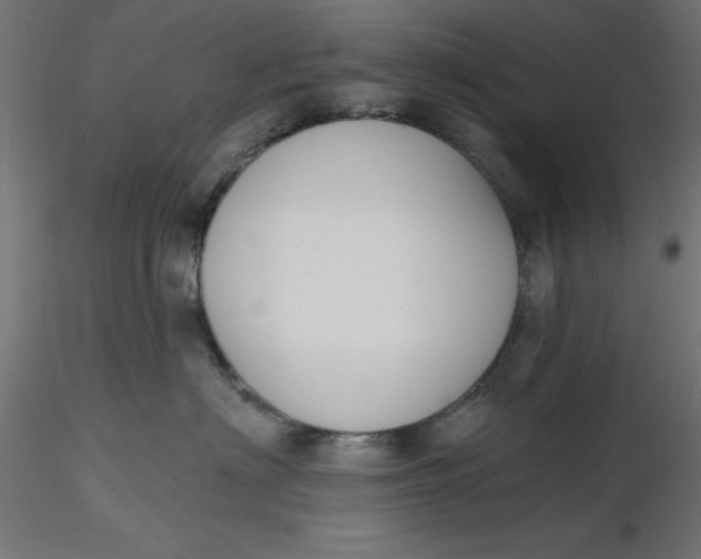 X0000116650622200912291617