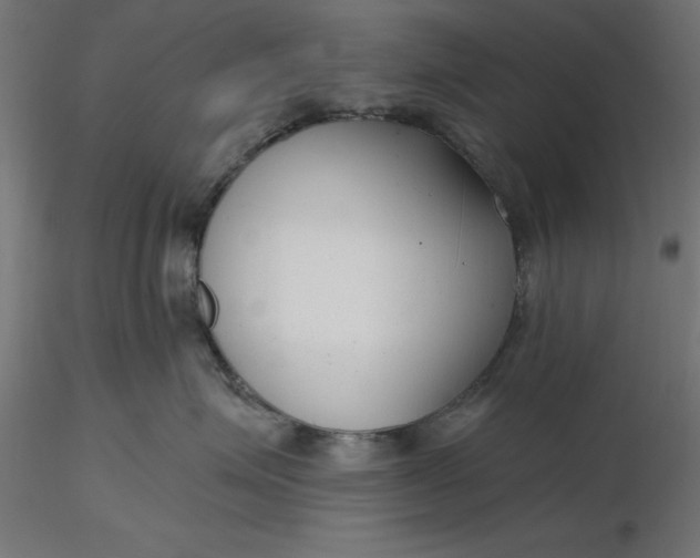 X0000116650623200912291617