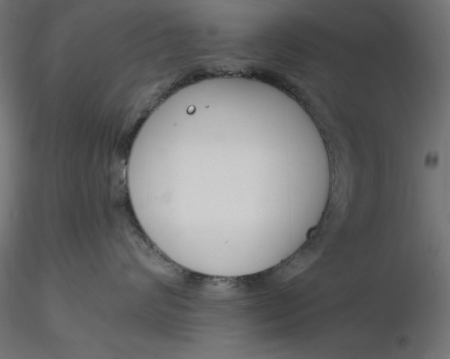 X0000116650624200912291617