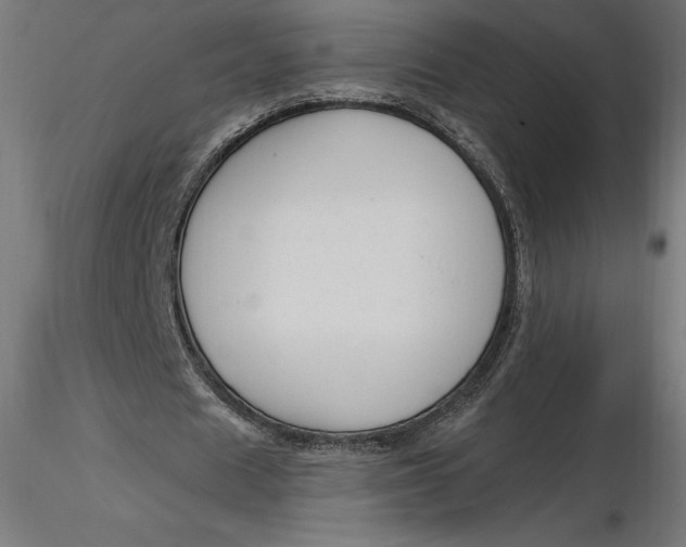 X0000116650625200912291617