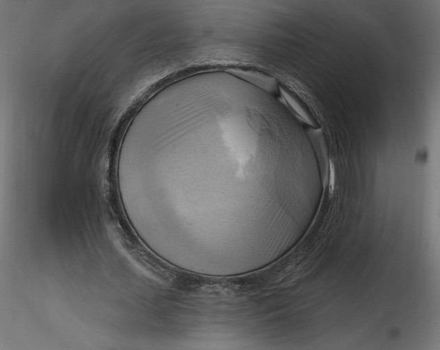 X0000116650627200912291617