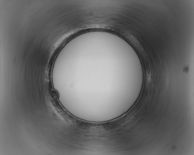 X0000116650628200912291617