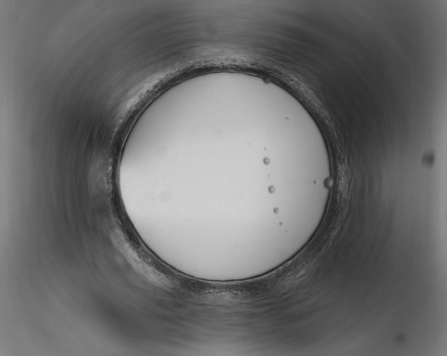 X0000116650629200912291617