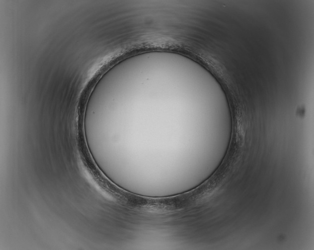 X0000116650630200912291617