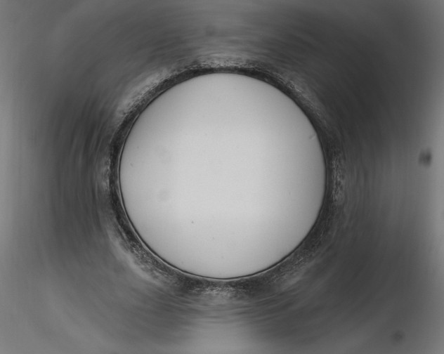 X0000116650631200912291617