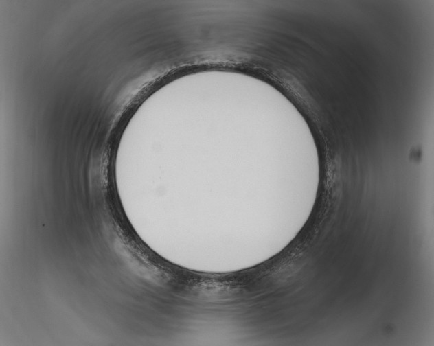 X0000116650632200912291617