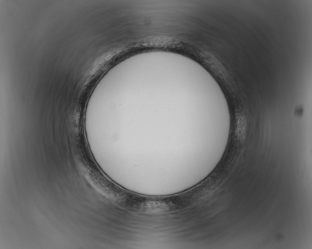 X0000116650636200912291617