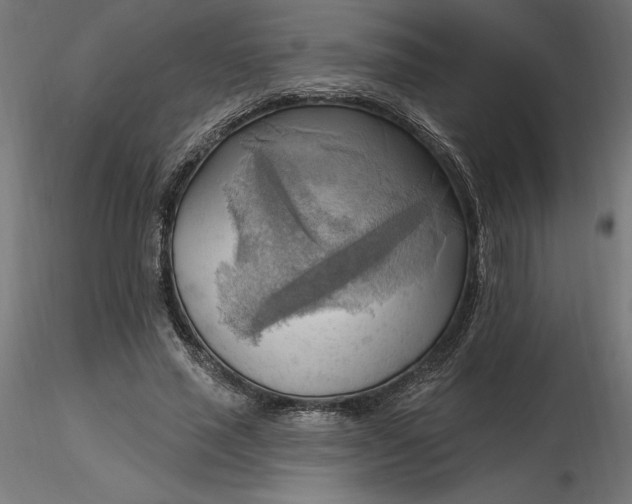 X0000116650637200912291617