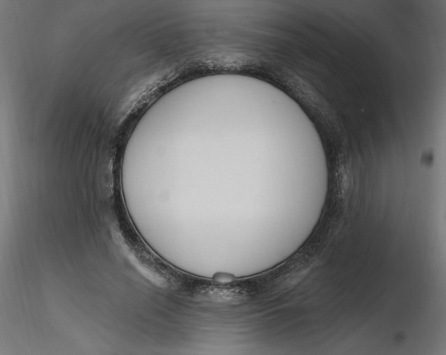 X0000116650638200912291617