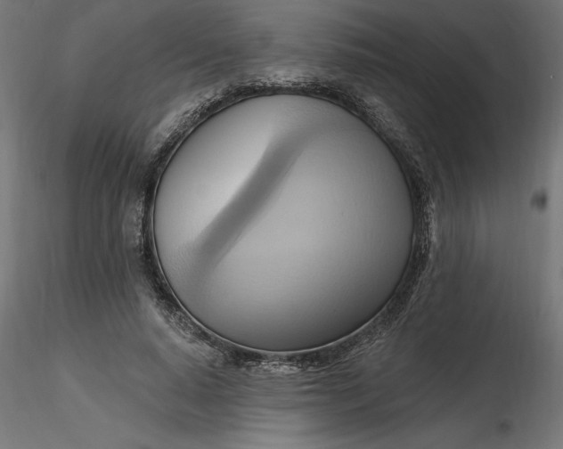 X0000116650640200912291617