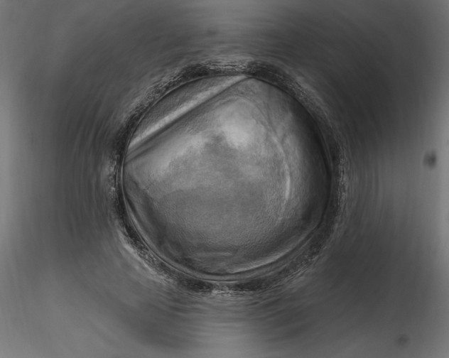 X0000116650641200912291617