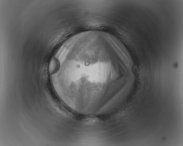 X0000116650642200912291617