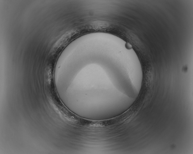 X0000116650644200912291617