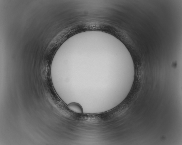 X0000116650645200912291617