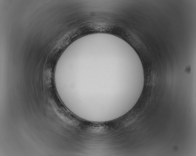 X0000116650646200912291617