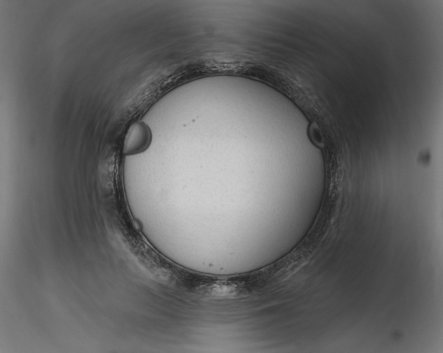 X0000116650647200912291617