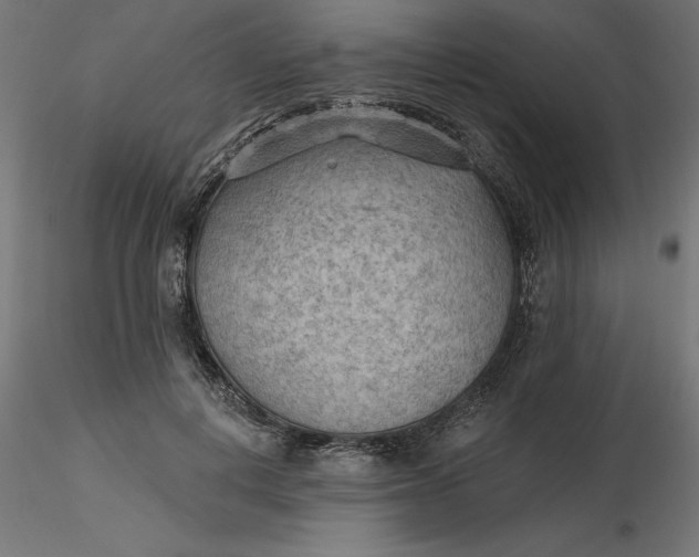 X0000116650648200912291617