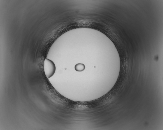 X0000116650649200912291617