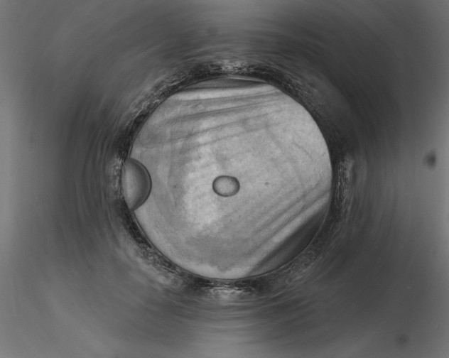 X0000116650650200912291617