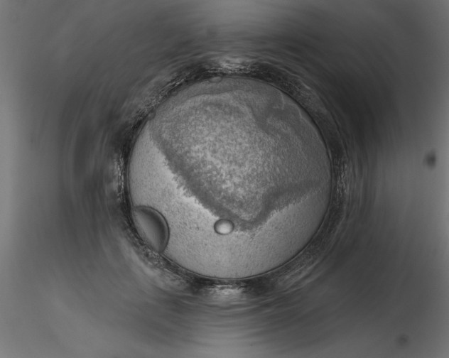 X0000116650651200912291617