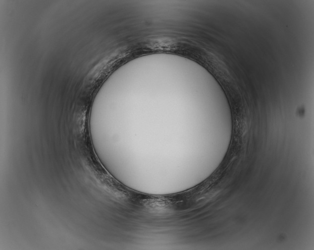 X0000116650652200912291617