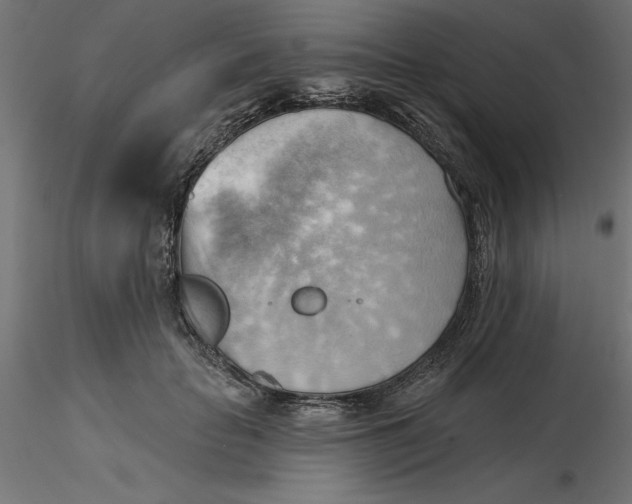 X0000116650653200912291617