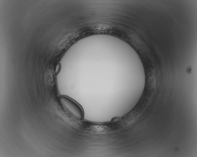 X0000116650654200912291617