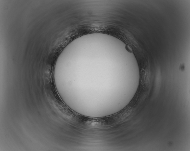 X0000116650655200912291617