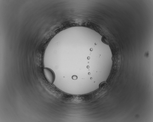 X0000116650656200912291617