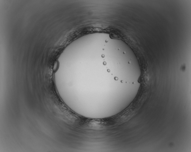 X0000116650657200912291617