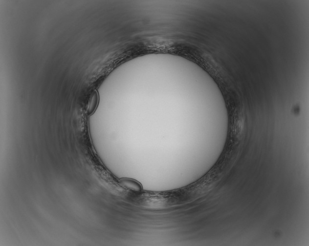 X0000116650658200912291617