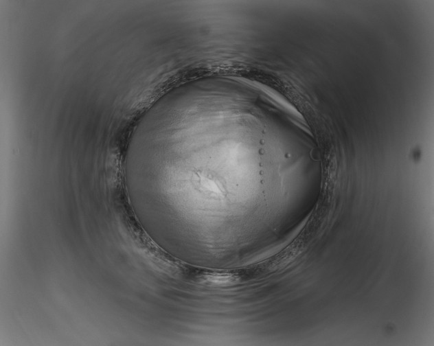 X0000116650659200912291617