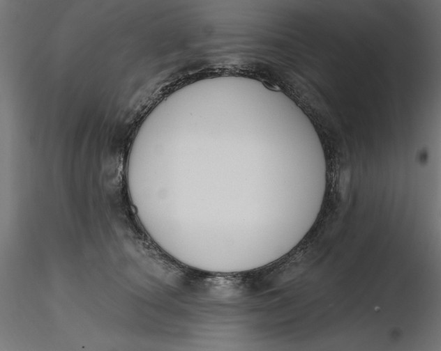 X0000116650660200912291617