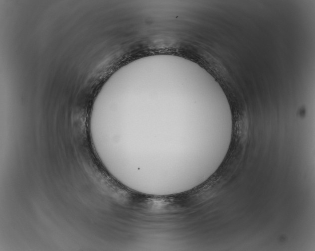 X0000116650662200912291617