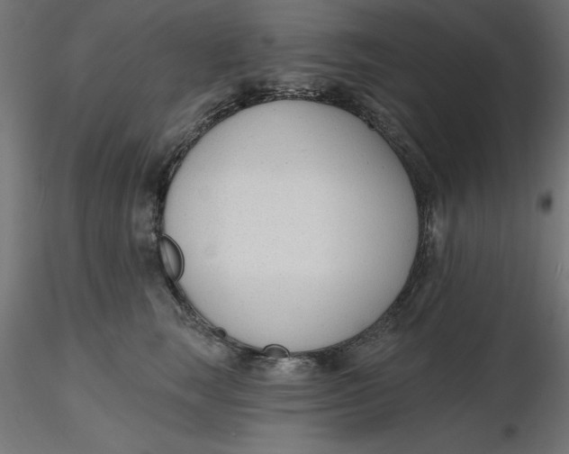 X0000116650663200912291617