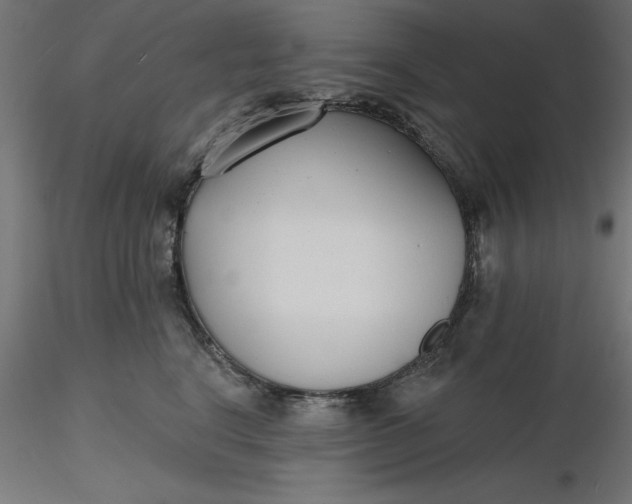 X0000116650664200912291617