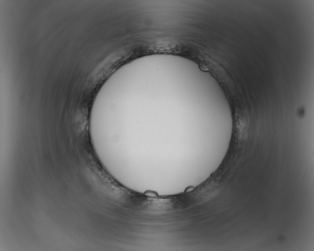 X0000116650665200912291617