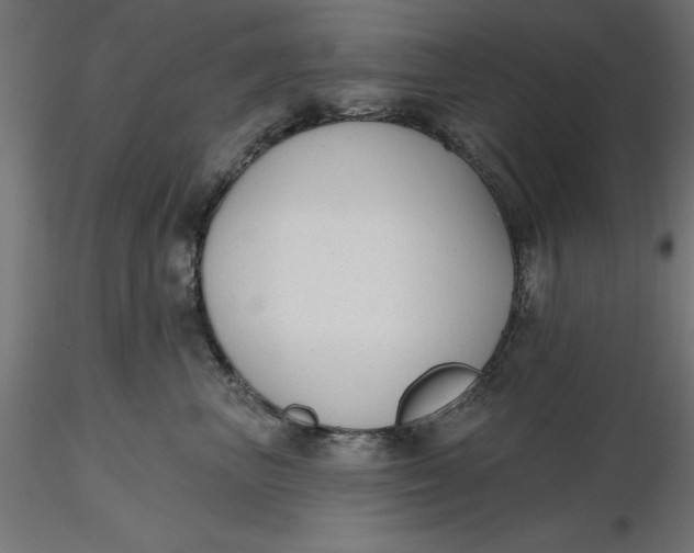 X0000116650667200912291617