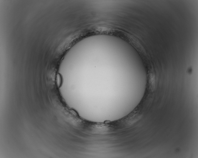 X0000116650668200912291617