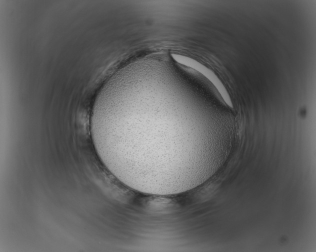 X0000116650669200912291617