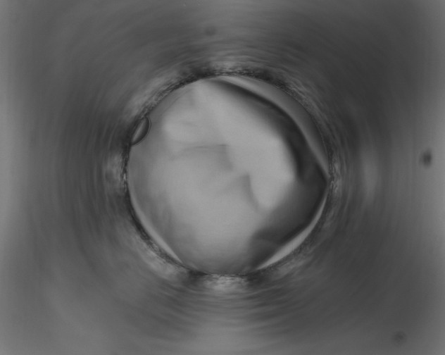 X0000116650670200912291617