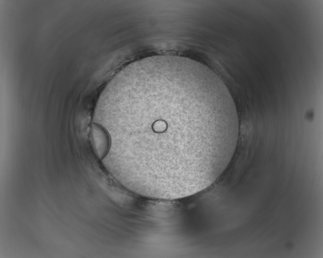 X0000116650671200912291617