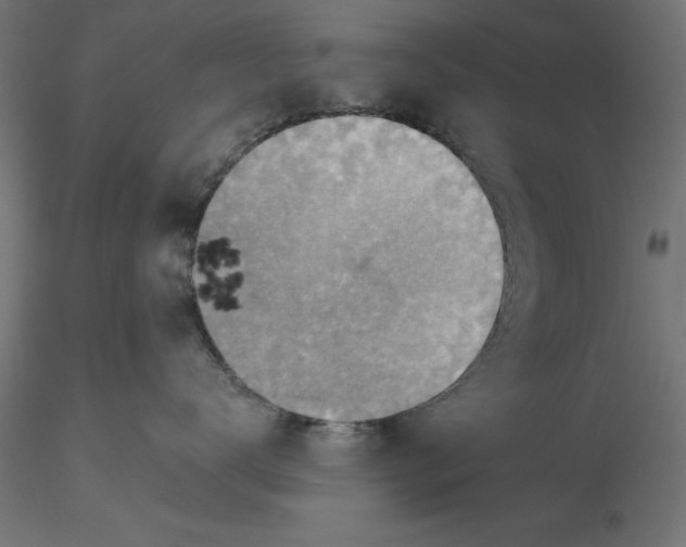 X0000116650672200912291617