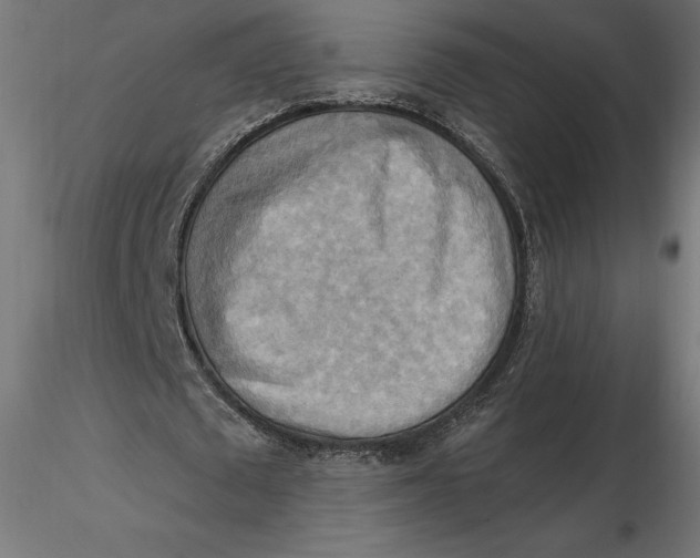 X0000116650673200912291617